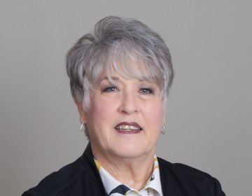 Mary Daulong, PT, CHC, CHP